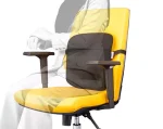 پشتی طبی باراد LS1
